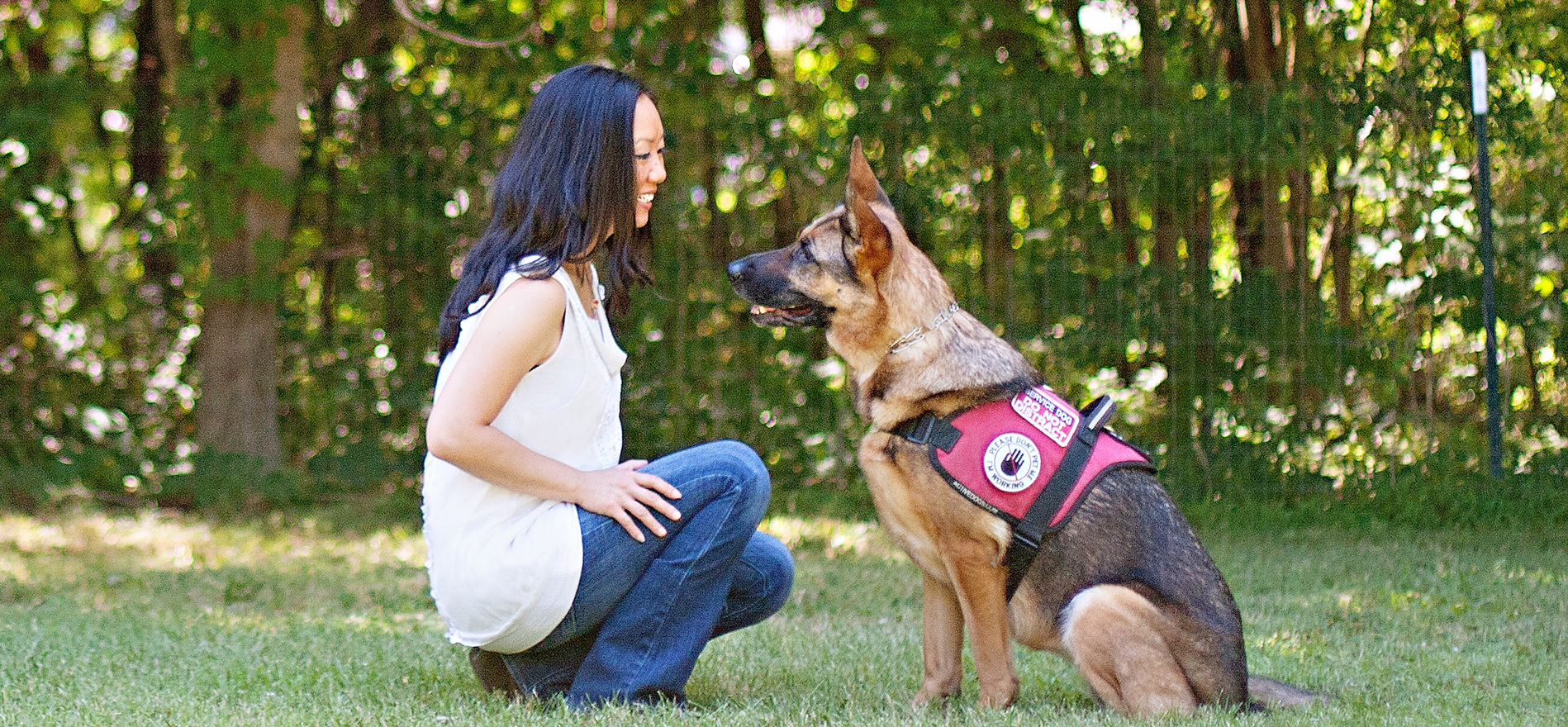 Service Dog Awareness Education | Paws Then Play LLC Charlotte, NC